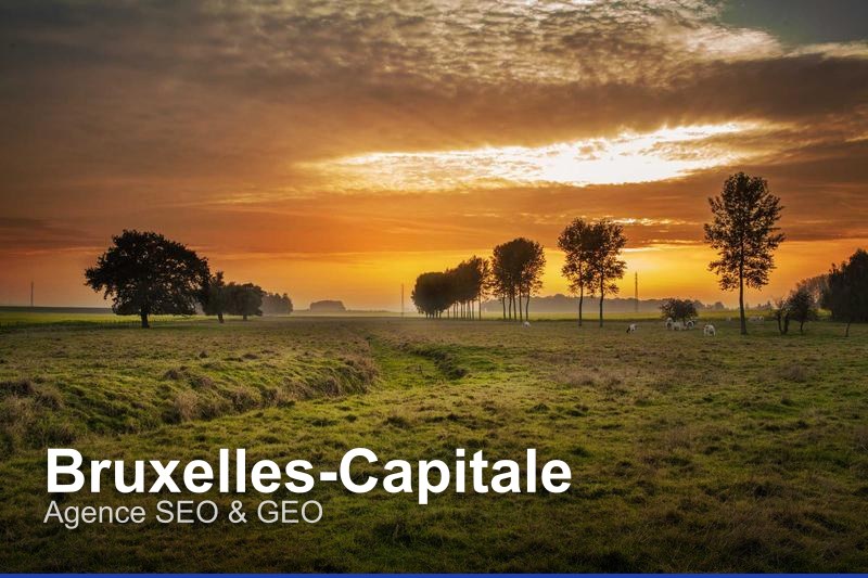 Agence SEO & GEO à Bruxelles-Capitale, Belgique - Trouvez un professionnel