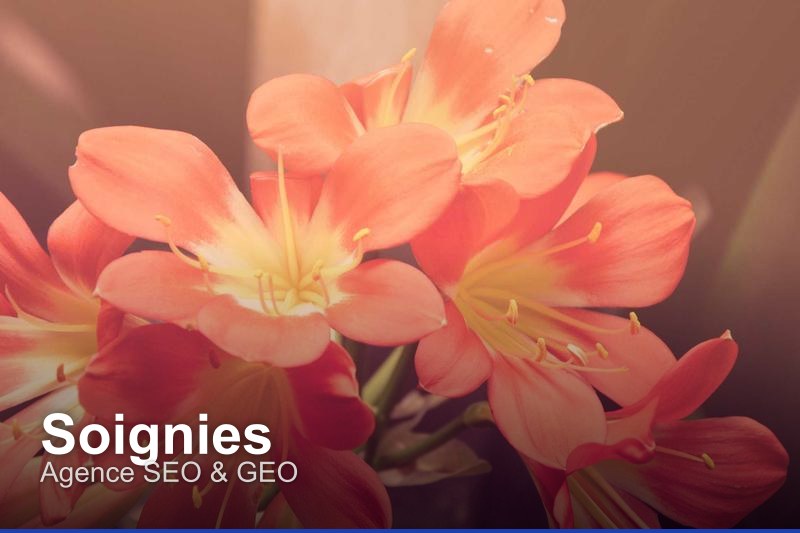 Agence SEO & GEO à Soignies, Belgique - Trouvez un professionnel