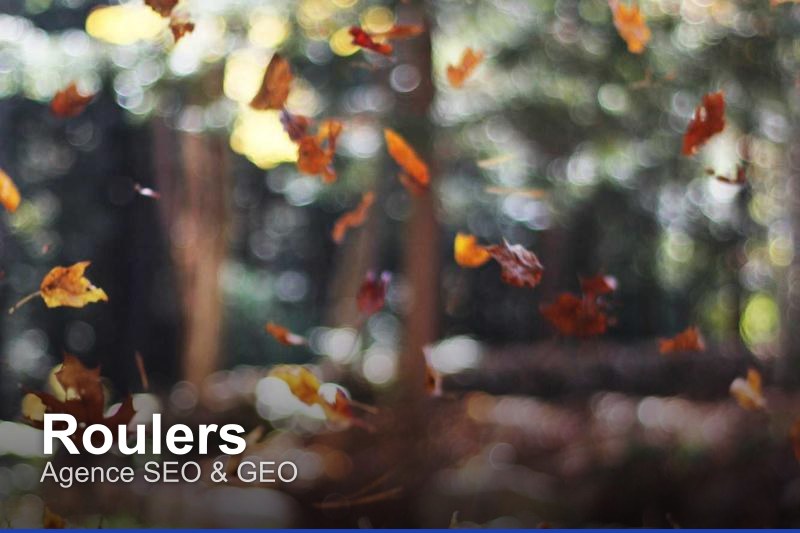 Agence SEO & GEO à Roulers, Belgique - Trouvez un professionnel