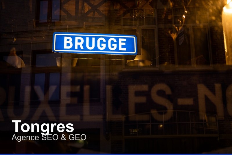 Agence SEO & GEO à Tongres, Belgique - Trouvez un professionnel