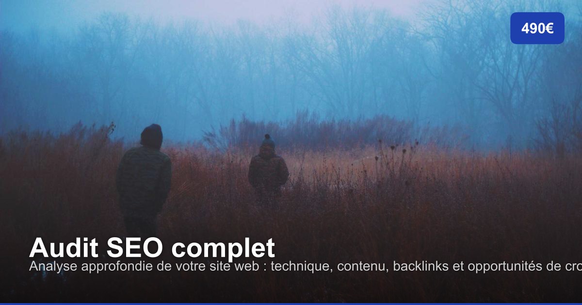 Audit SEO complet